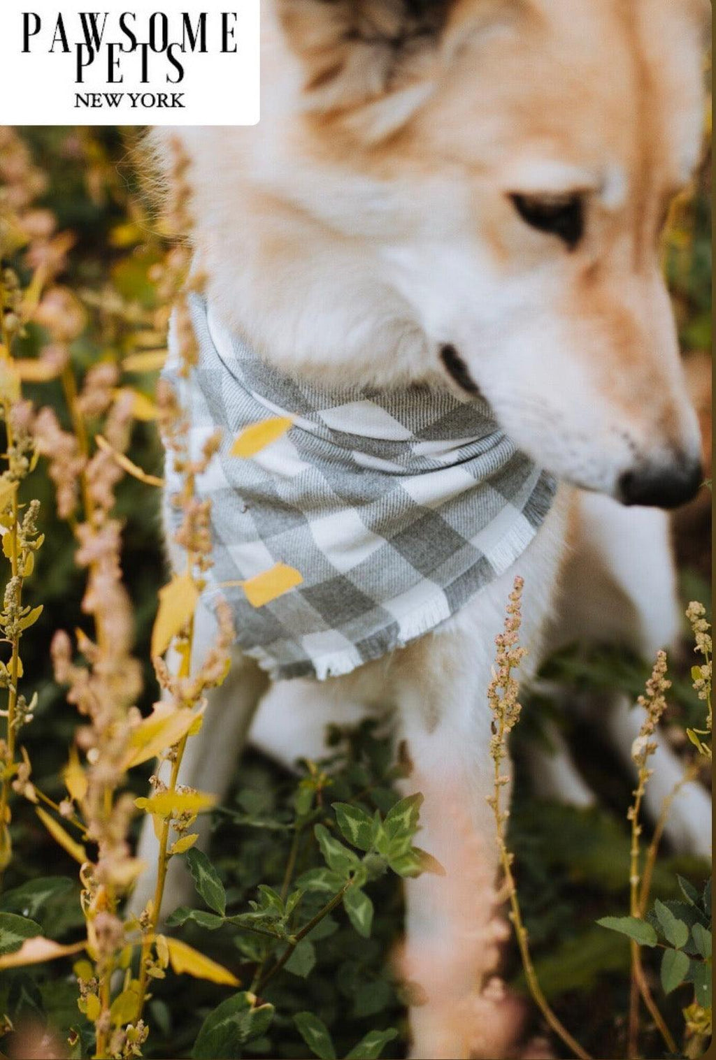 BANDANA - SAWYER