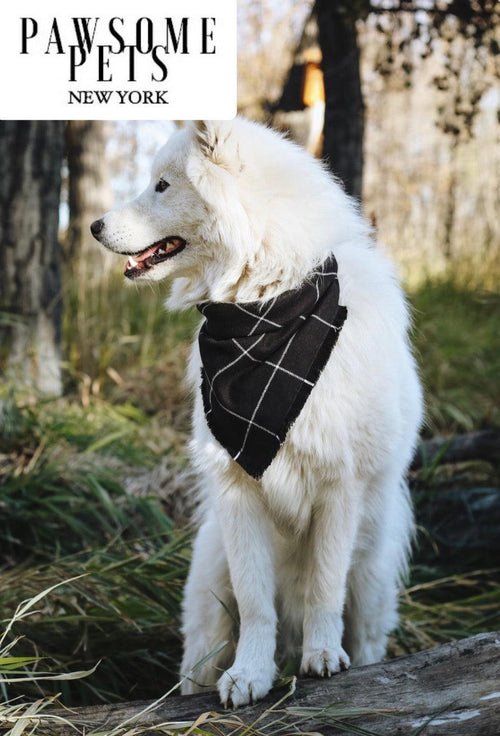 BANDANA - BETTY