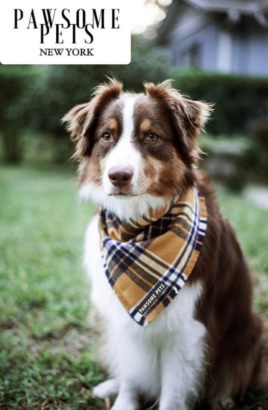 BANDANA - BEAU