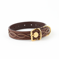 Luxury full-grain leather pet collar with gold hardware on white background